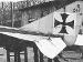 Tailplane detail from Albatros B.II 847/15 (0349-182)